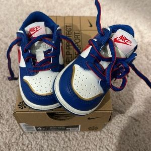 Toddler Nike Dunk Low